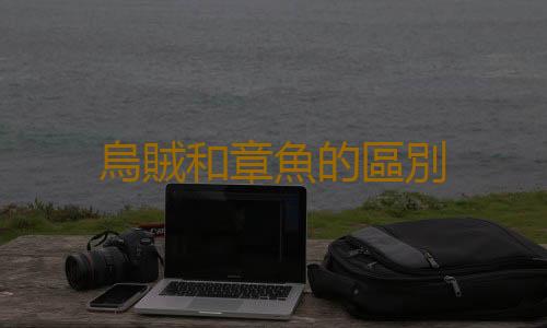 烏賊和章魚的區別