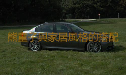 熊童子與家居風格的搭配