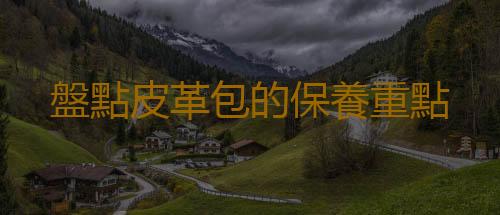 盤點皮革包的保養重點