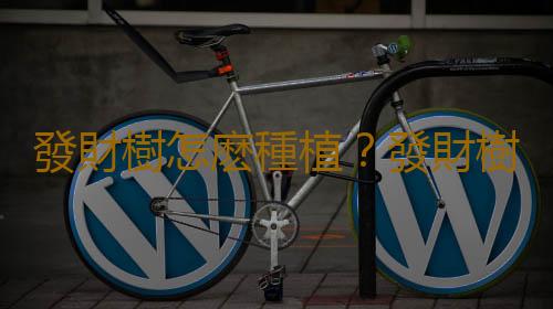 發財樹怎麽種植？發財樹是怎樣的？