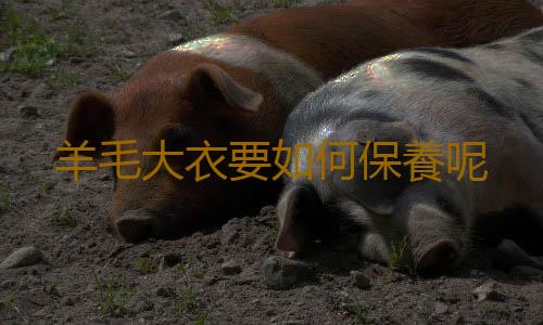 羊毛大衣要如何保養呢