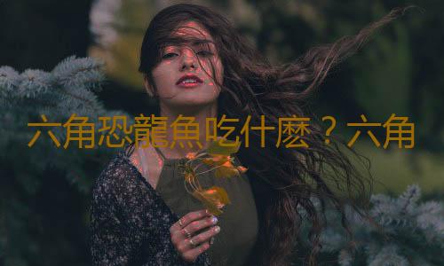 六角恐龍魚吃什麽？六角恐龍魚怎麽養？