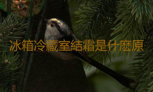 冰箱冷藏室結霜是什麽原因造成的 冰箱冷藏室結霜是怎麽處理