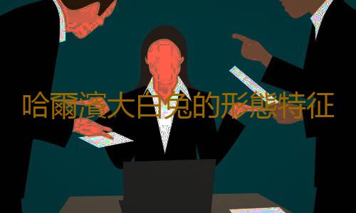 哈爾濱大白兔的形態特征有哪些？