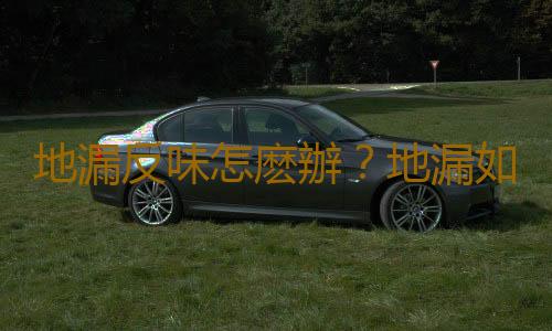 地漏反味怎麽辦？地漏如何防臭