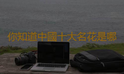 你知道中國十大名花是哪些嗎？