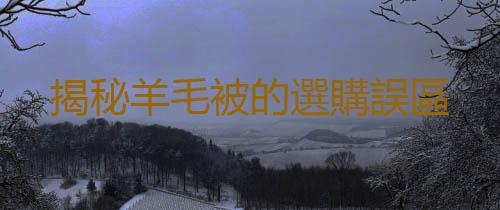 揭秘羊毛被的選購誤區