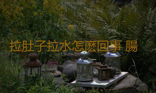 拉肚子拉水怎麽回事 腸胃疾病得這麽治