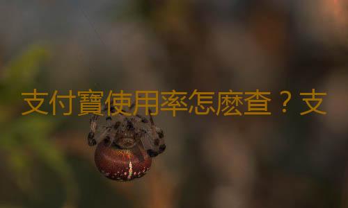 支付寶使用率怎麽查？支付寶使用率哪裏看？