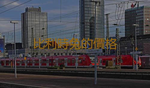 比利時兔的價格