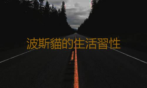 波斯貓的生活習性