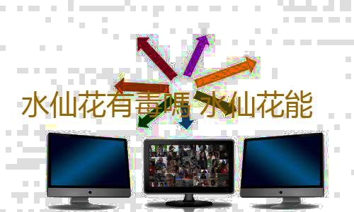 水仙花有毒嗎 水仙花能放在臥室內嗎