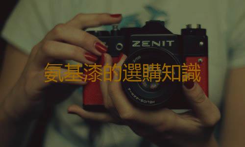 氨基漆的選購知識