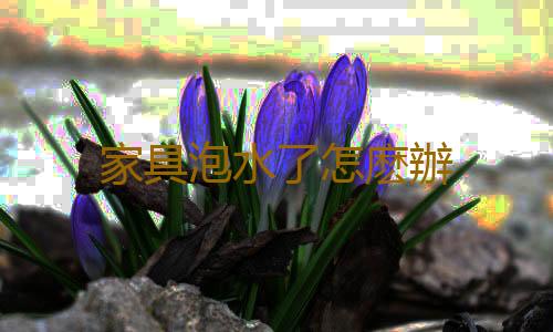 家具泡水了怎麽辦