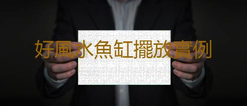 好風水魚缸擺放實例