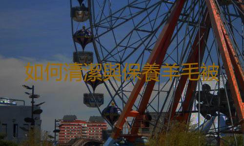 如何清潔與保養羊毛被