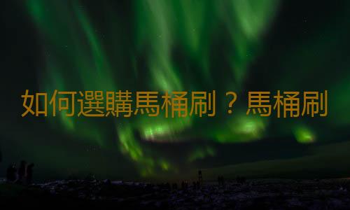 如何選購馬桶刷？馬桶刷的注意事項