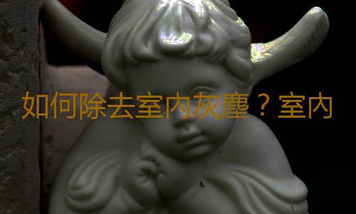 如何除去室內灰塵？室內灰塵清除秘訣