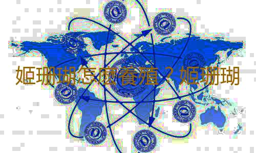 姬珊瑚怎麽養殖？姬珊瑚的簡介