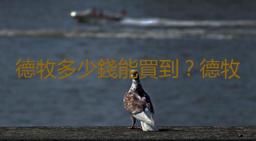 德牧多少錢能買到？德牧怎麽喂養？