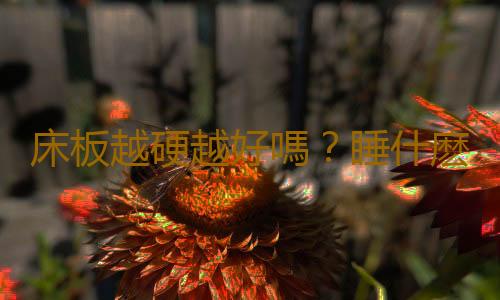 床板越硬越好嗎？睡什麽床最健康？