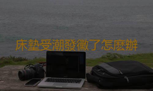 床墊受潮發黴了怎麽辦