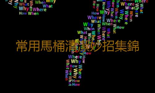 常用馬桶清潔妙招集錦
