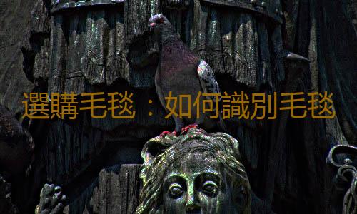 選購毛毯：如何識別毛毯質量的優劣好壞