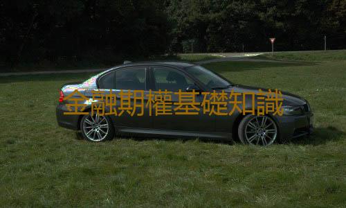 金融期權基礎知識