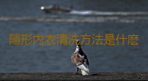 隱形內衣清洗方法是什麽？