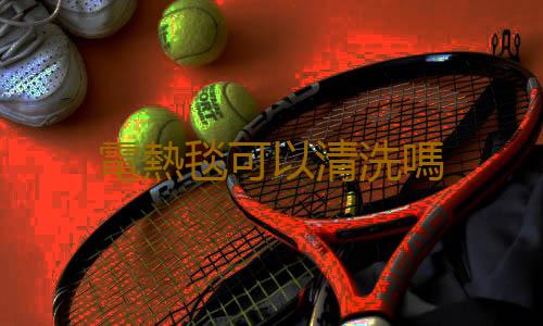 電熱毯可以清洗嗎
