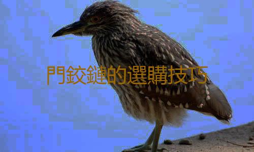 門鉸鏈的選購技巧