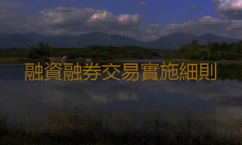 融資融券交易實施細則