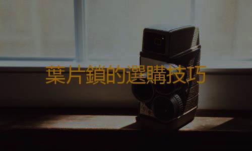 葉片鎖的選購技巧