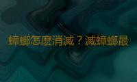 蟑螂怎麽消滅？滅蟑螂最有效的方法