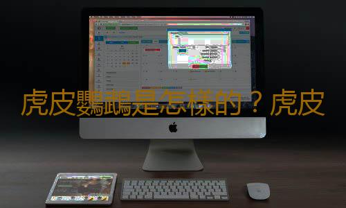 虎皮鸚鵡是怎樣的？虎皮鸚鵡的產地