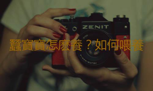 蠶寶寶怎麽養？如何喂養蠶寶寶？