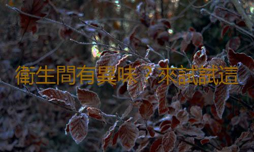衛生間有異味？來試試這些小東西除去異味！