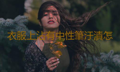 衣服上沾有中性筆汙漬怎麽辦