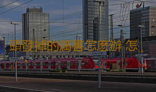 頭發掉的厲害怎麽辦 怎樣拯救掉發苦惱