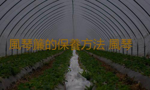 風琴簾的保養方法 風琴簾的選購技巧