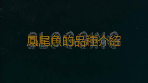 鳳尾魚的品種介紹